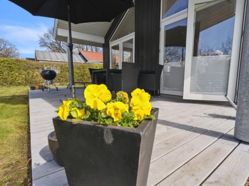 a planter with yellow flowers sitting on a porch at Holiday Home Gunholm - 150m from the sea by Interhome in Haderslev