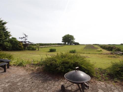 un gril posé au bord d'un champ dans l'établissement Holiday Home Joran - 120m from the sea by Interhome, à Tranekær