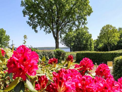 ein Garten mit rosa Blumen und einem Baum im Hintergrund in der Unterkunft Holiday Home Engelke - 150m from the sea by Interhome in Kruså