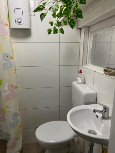 Gallery image of Zimmer 2 Phòng trọ trái chung nhau buồng tắm và nhà vệ sinh in Mainz