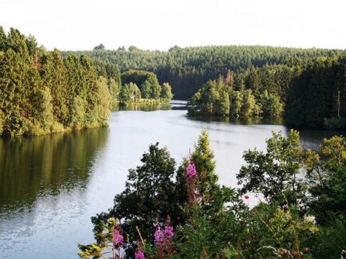 a view of a river with trees and flowers at Large Home with Sauna, Ovifat in Ovifat