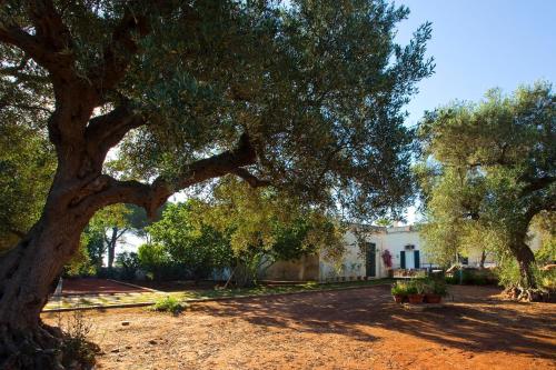 Κήπος έξω από το Masseria Acquadolce