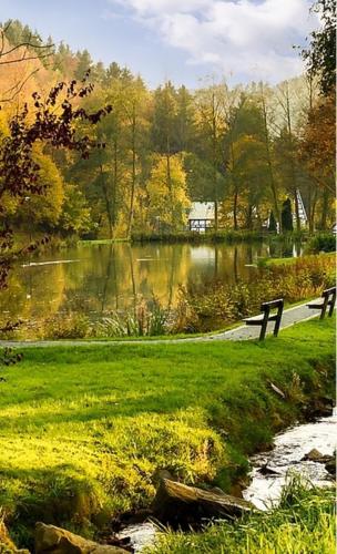 a park with a pond and a fence next to a field at Haus Sonnenschein in Winterberg