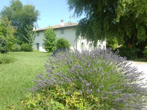 Locanda del Toro – Photos 5