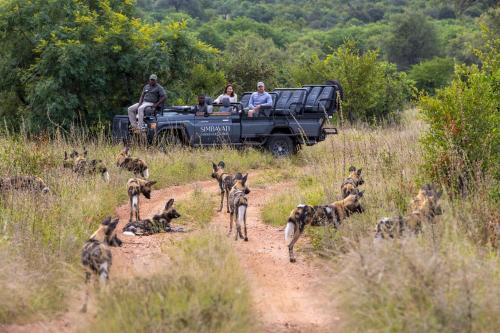 a group of people in a jeep on a dirt road at Simbavati Hilltop Lodge in Timbavati Game Reserve