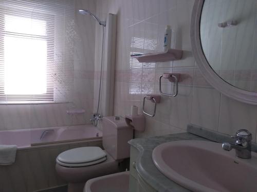 une salle de bain avec toilettes, lavabo et miroir dans l'établissement Centro Ciudad Parque M & Parking Gratis, à Avilés