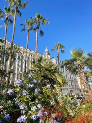 Le Pinson Mignon Cannes Carre d Or