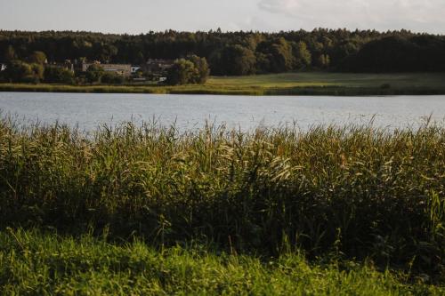 a view of a lake from a field of grass at Uroczysko Oleśnica in Chodzież