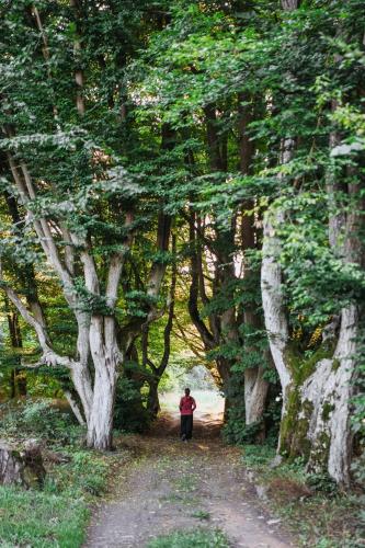 a man walking down a dirt road between trees at Uroczysko Oleśnica in Chodzież