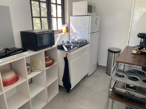 a kitchen with a white refrigerator and a microwave at Appartement T2 dans le Luberon in Cavaillon