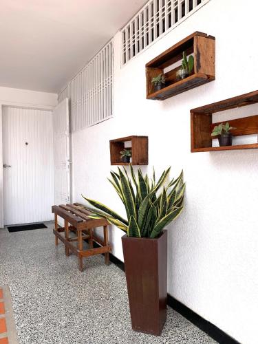 a living room with a bench and a potted plant at Comfort and an excellent area in Venezuela in Maracaibo