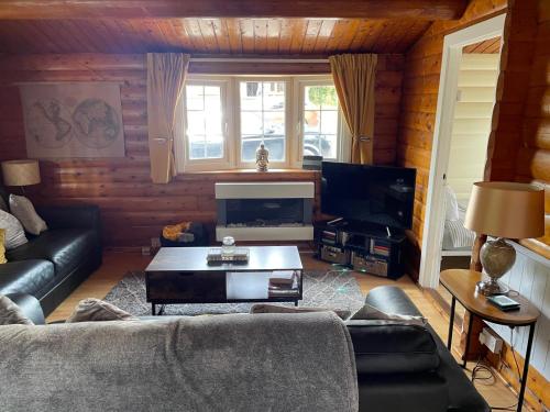 Μια τηλεόραση ή/και κέντρο ψυχαγωγίας στο IVY Cabin