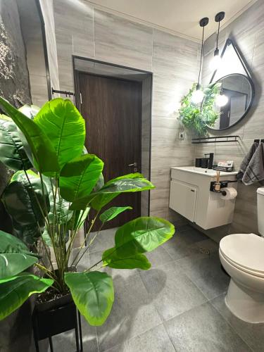 a bathroom with a toilet and a plant at Къща за гости Рилски чардак in Sapareva Banya