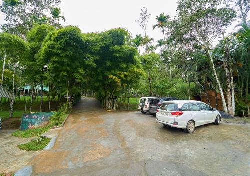 a parking lot with two cars parked next to trees at Kedara Resort Wayanad by VOYE HOMES in Sultan Bathery