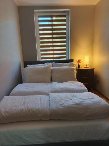 Katil atau katil-katil dalam bilik di Apartament Altbau Słubice