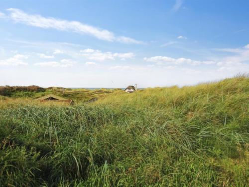 ein Feld mit hohem Gras und einem Hund im Hintergrund in der Unterkunft Holiday Home Hoat - 300m from the sea by Interhome in Saltum