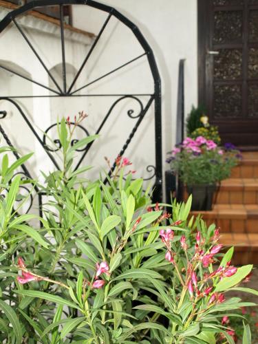 Κήπος έξω από το Ferienwohnung Klatschmohn
