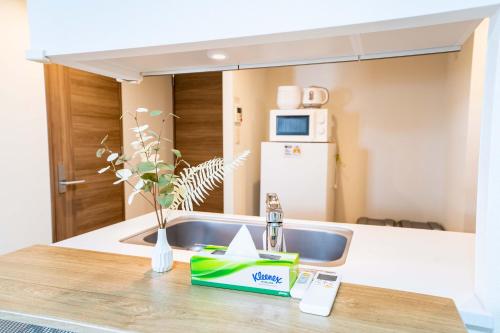 a kitchen with a sink and a counter top at 801Room,Sky Tower 12 minutes walk Sensoji Temple 15 minutes walk New Apartment 50 m2 direct access to Haneda Airport in Tokyo