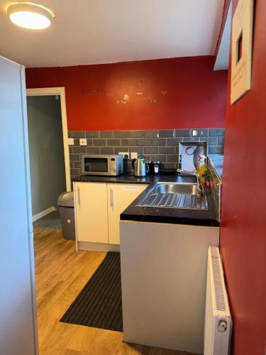 a small kitchen with a sink and red walls at Sky's City Centre Apartments next to St James Park in Newcastle upon Tyne