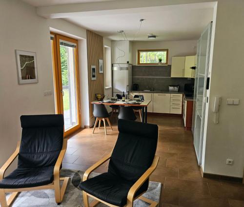 a kitchen with a table and chairs in a room at Apartments Světluška in Loučná nad Desnou