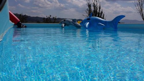 Der Swimmingpool an oder in der Nähe von Residenza Zona Franca