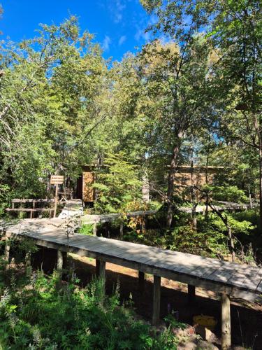 a wooden bridge in the middle of a forest at Cabañas La posada del Valle in Las Trancas