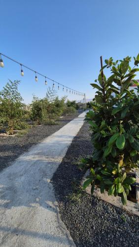 a walkway with lights on the side of a road at شاليهات Chalets in Būbādī