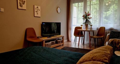 Μια τηλεόραση ή/και κέντρο ψυχαγωγίας στο Apartament Wapienna
