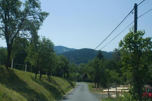 a road with trees on the side of a hill at Chalupa na Valašsku in Halenkov