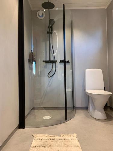 a bathroom with a shower and a toilet at Log cabin with hot tub and views in Ludvigsborg