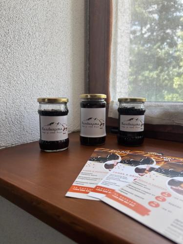 Billede fra billedgalleriet på Valevitsata Guesthouse i Razlog