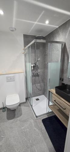 a bathroom with a shower and a toilet and a sink at L'Aiguillon - Studio avec Jacuzzi pour 2 personnes et enfants proche stations - Idéal couple avec 1 enfant in Saint-Jean-de-Sixt