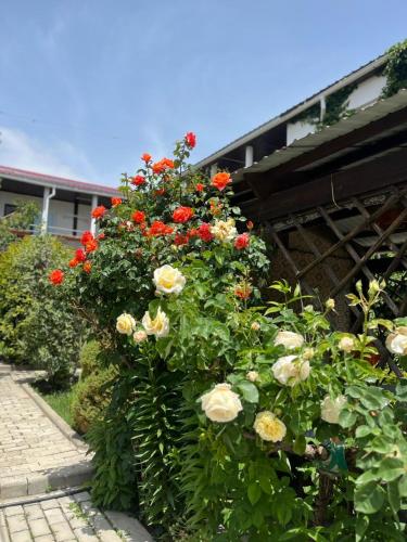 a bunch of flowers in front of a building at Уютный Дворик В Гостях на Иссык-Куле in Cholpon-Ata