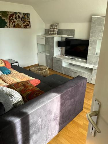 a living room with a couch and a flat screen tv at Small attic apartment close to Lake and Mountains Fussach in Fußach
