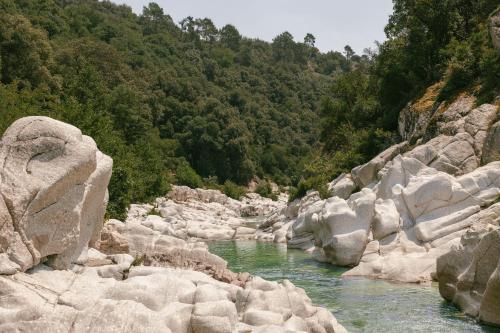 a river with rocks and trees in the background at Slow Village Anduze - Cévennes in Corbés
