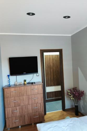 Televisyen dan/atau pusat hiburan di Apartament Altbau Słubice
