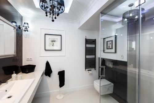 La salle de bains est pourvue de toilettes et d'une douche en verre. dans l'établissement Apartamenty Sienkiewicza - bezpłatny parking, centrum, park, fv, à Kielce