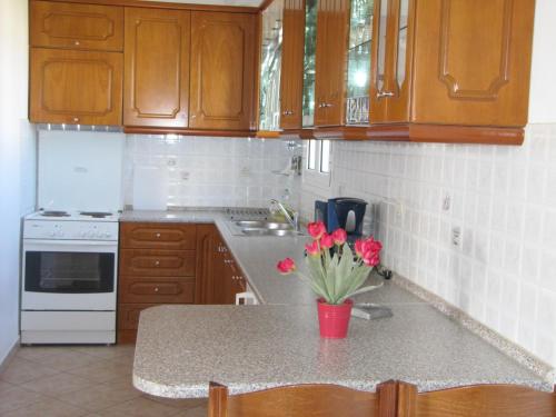 Gallery image of Petros Studios Kythera in Kýthira