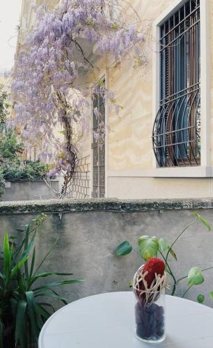 Urban Garden 20 min Duomo