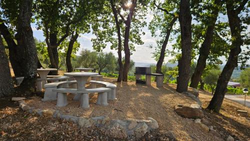a group of picnic tables in a park with trees at Agriturismo Le Masciare in Paternopoli