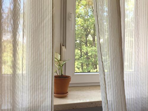 a window with a potted plant sitting on a window sill at Padme in Nürnberg
