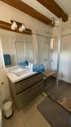 a bathroom with a sink and a shower at L'Orme Seul, Gîte in Vineuil