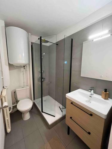 a bathroom with a shower and a toilet and a sink at Le Studio Lumineux in Compiègne