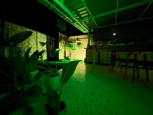 a dark room with plants and a green light at Casa Minimal in Hinkong
