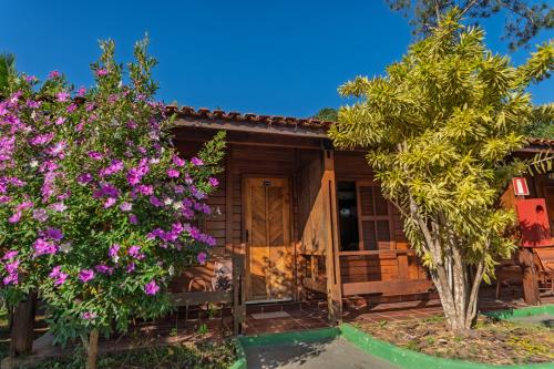 Κήπος έξω από το Hotel Green Hill