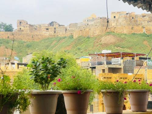 a group of potted plants with a castle in the background at Hostel The Dara in Jaisalmer