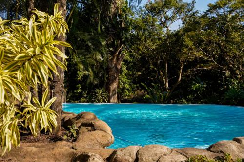 Kolam renang di atau dekat dengan B&B Sawubona
