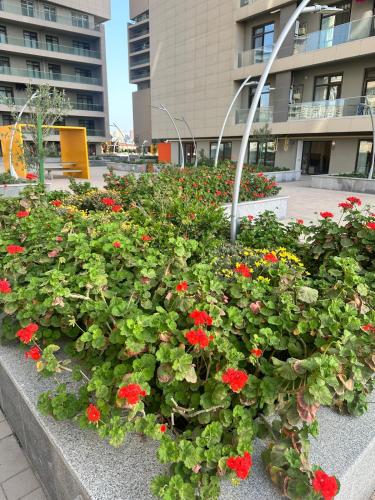 a planter with red flowers in front of a building at Stylish Apartment in Prestigious Towers in Baku in Baku