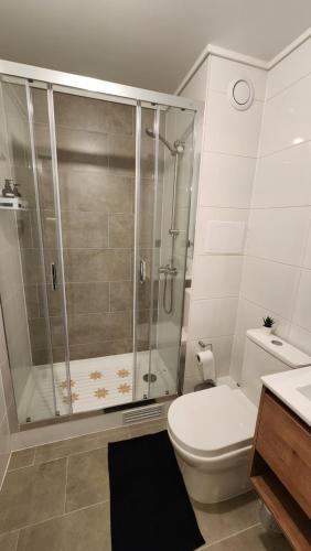 a bathroom with a shower and a toilet and a sink at Departamento Estudio, inmejorable ubicación, parking in Los Ángeles