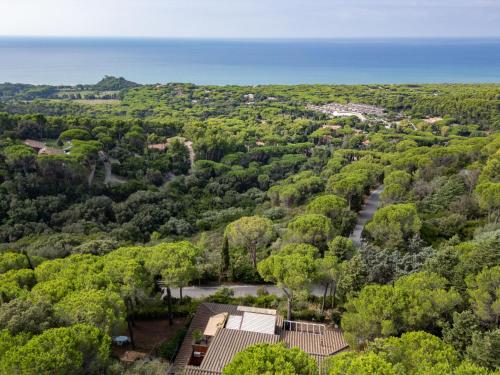 an aerial view of a forest with a river at Holiday Home Sabrina by Interhome in Castiglione della Pescaia